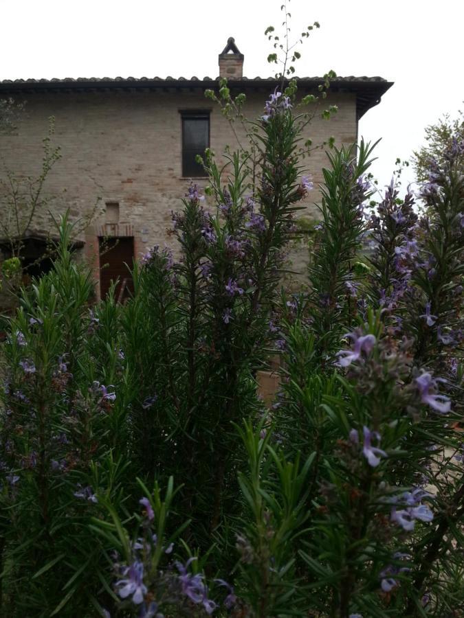 Agriturismo Il Poggio Degli Scoiattoli Bed & Breakfast Perugia Bagian luar foto