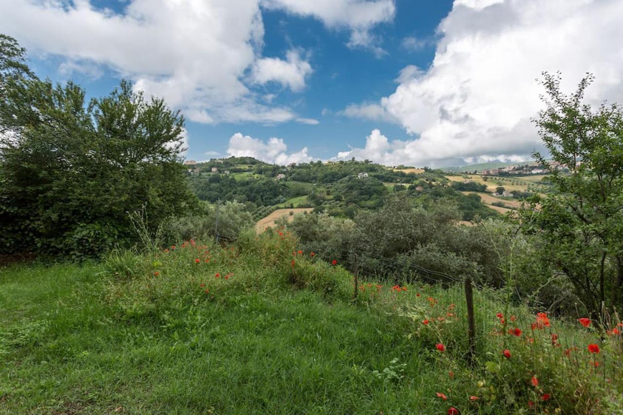 Agriturismo Il Poggio Degli Scoiattoli Bed & Breakfast Perugia Bagian luar foto