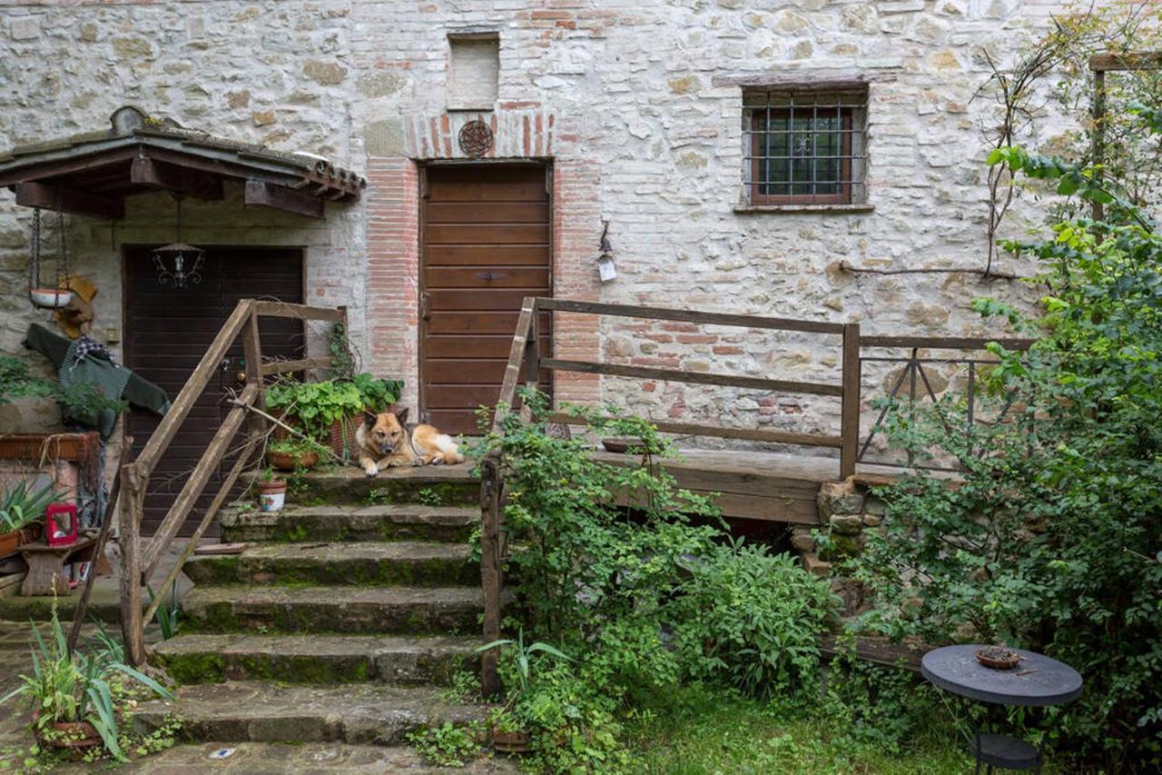 Agriturismo Il Poggio Degli Scoiattoli Bed & Breakfast Perugia Bagian luar foto